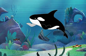 I'm a Fish: I'm a Killer Whale