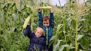 11:50 AM: Our Family (S5) | Cbeebies | 4/1 2026
