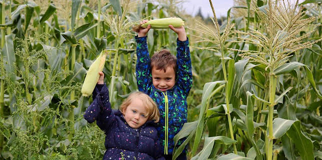 11:50 AM: Our Family (S5) | Cbeebies | 12/5 2025
