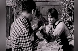 The Roy Rogers TV Show: Flying Bullets