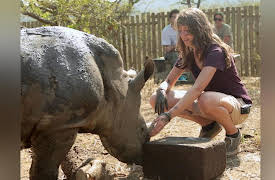 Wild Animal Rescue: Sanctuary for Wildlife in the Middle East and the Rhino Crisis