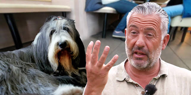 11:10: Hunde verstehen! | WDR Fernsehen | 2/24 2026