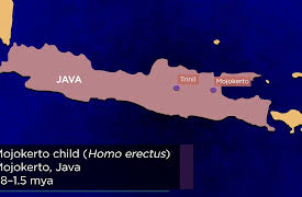Early Humans: Ice, Stone, and Survival: How Homo sapiens Left Africa