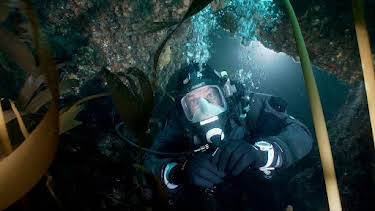 12:00: Hundidos | LA 2 | 3/28 2026