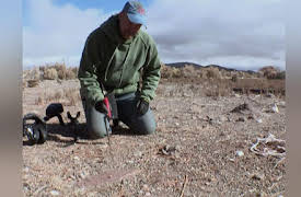 Diggers Season 1: Ghost Town Nectar