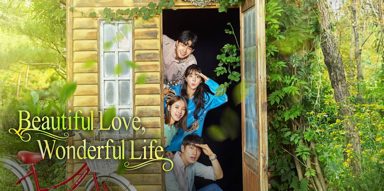 Beautiful Love, Wonderful Life