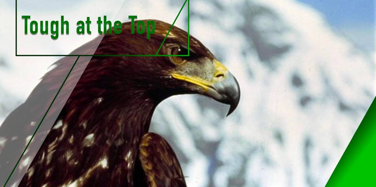 Tough at the Top (1996)