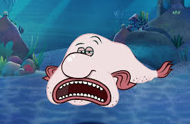 I'm a Fish: I'm a Blob Fish