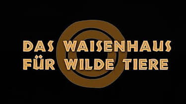 16:05: Das Waisenhaus für wilde Tiere (5) | RBB Fernsehen | 6/6 2026