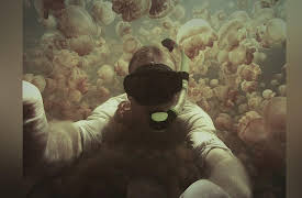 Secrets In The Jungle: Mystery Skeleton of Belize