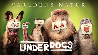 20:00: Världens natur: Underdogs | Kunskapskanalen | 9/29 2026