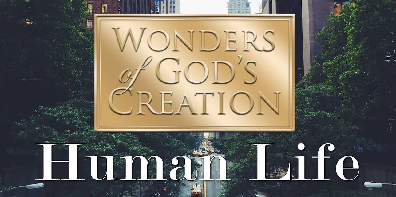 Wonders of God's Creations: Human Life