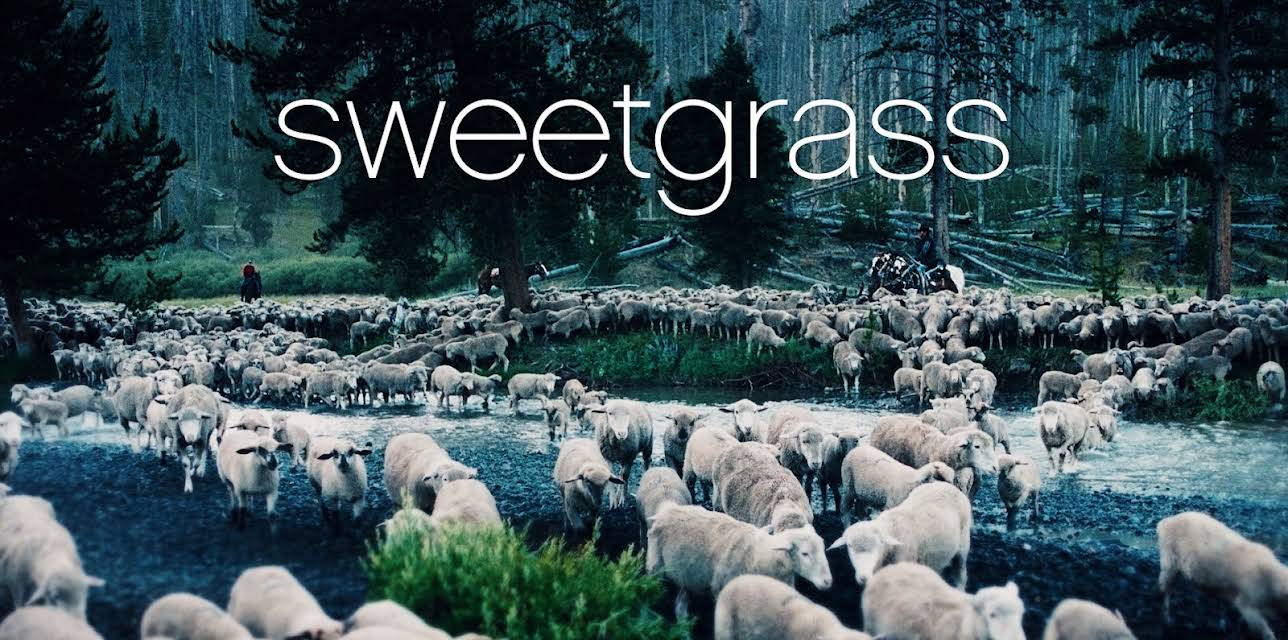 Sweetgrass (2009)