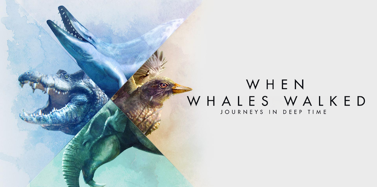 When Whales Walked: Journeys in Deep Time (2019)