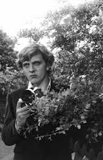 David Hemmings como 