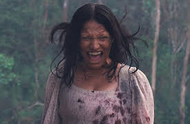 Inspector Rishi: Something Wicked