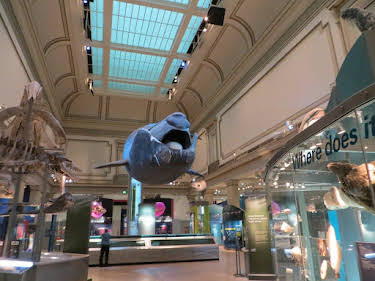 07:15: Die größten Mysterien der Welt | Kabel Eins Doku | 5/1 2026