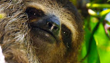 Planet Earth (S2 E1)