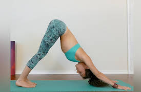 Evolve Your Practice - A Guide To Beginner though Advanced Yoga Poses: Sun Salutation A