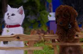 Mittens and Pants: Forgittin' Kittin