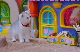 Mittens and Pants: Splashyball