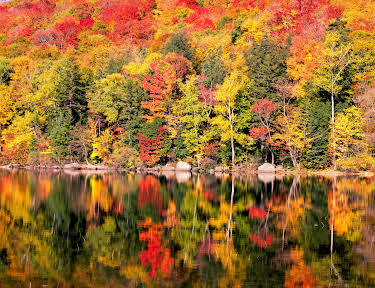 17:00: Zauber der Jahreszeiten - Neuengland | 3SAT | 4/28 2026