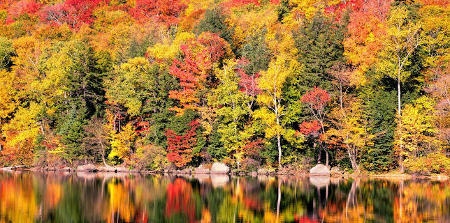 19:30: Zauber der Jahreszeiten - Neuengland | 3SAT | 2/1 2026