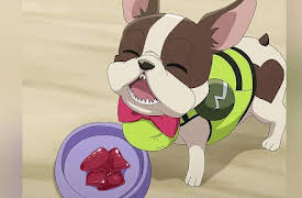 Bakugan Evolutions: Showdown with Short's Bakugan Academy! / Apprentice