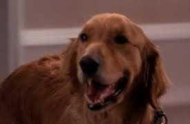 Charmed Season 1: Blind Sided