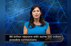 Brain Myths Exploded: Lessons from Neuroscience: Do You Only Use 10% of Your Brain?