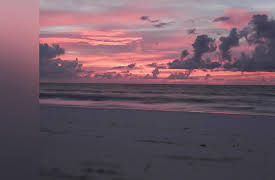 Life's a Beach, Season 1: Family Matters