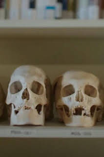 11:00: American greed | CNBC | 3/28 2026