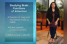 Masters of Mindfulness: Transforming Your Mind and Body: The Benefits of Brain Training