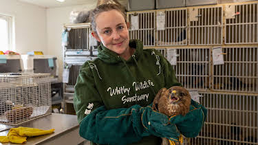 8:00 PM: Yorkshire by the Sea | Channel 4 | 4/4 2026