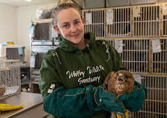 Yorkshire by the Sea