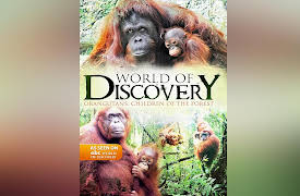 World of Discovery - The Complete Series: World Of Discovery - Orangutans: Children of the Forest