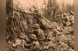 American Military History: From Colonials to Counterinsurgents: American Expeditionary Forces: 1917-1918