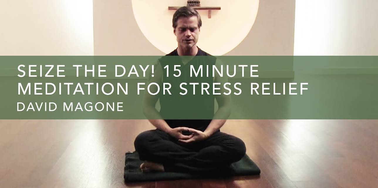 Seize The Day! 15 Minute Meditation For Stress Relief (2012)