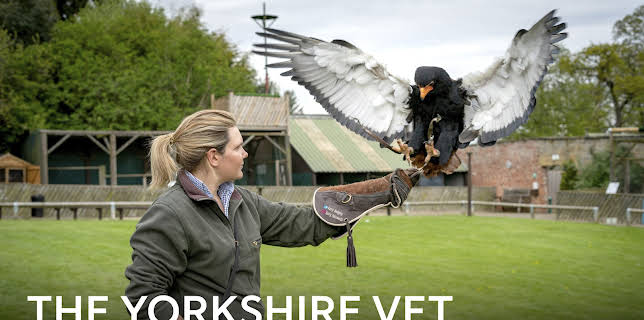 The Yorkshire Vet