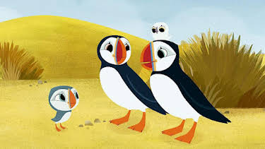 6:50 PM: Puffin Rock (S3) | Cbeebies | 2/2 2026