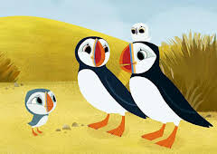 Puffin Rock