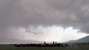 00:10: Kurzschluss | Arte | 4/30 2026