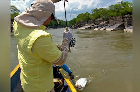 Wild Fish Wild Places: Colombia Vampire fish part 2