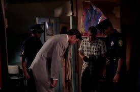Hawaii Five-O (Classic) Season 1: And They Painted Daisies on His Coffin