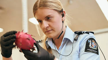 02:40: Border Patrol New Zealand | ProSieben Maxx | 5/4 2026