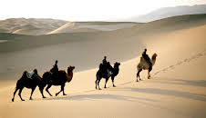 Die Magie der Mongolei