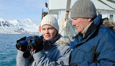 Sterne über dem Eis