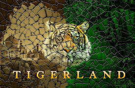 Tigerland Season 1: Tigerland