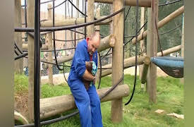 Monkey Life: Monkey Life   9