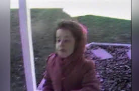 America's Funniest Home Videos Collection 1: Smart Dogs and Not So Smart People